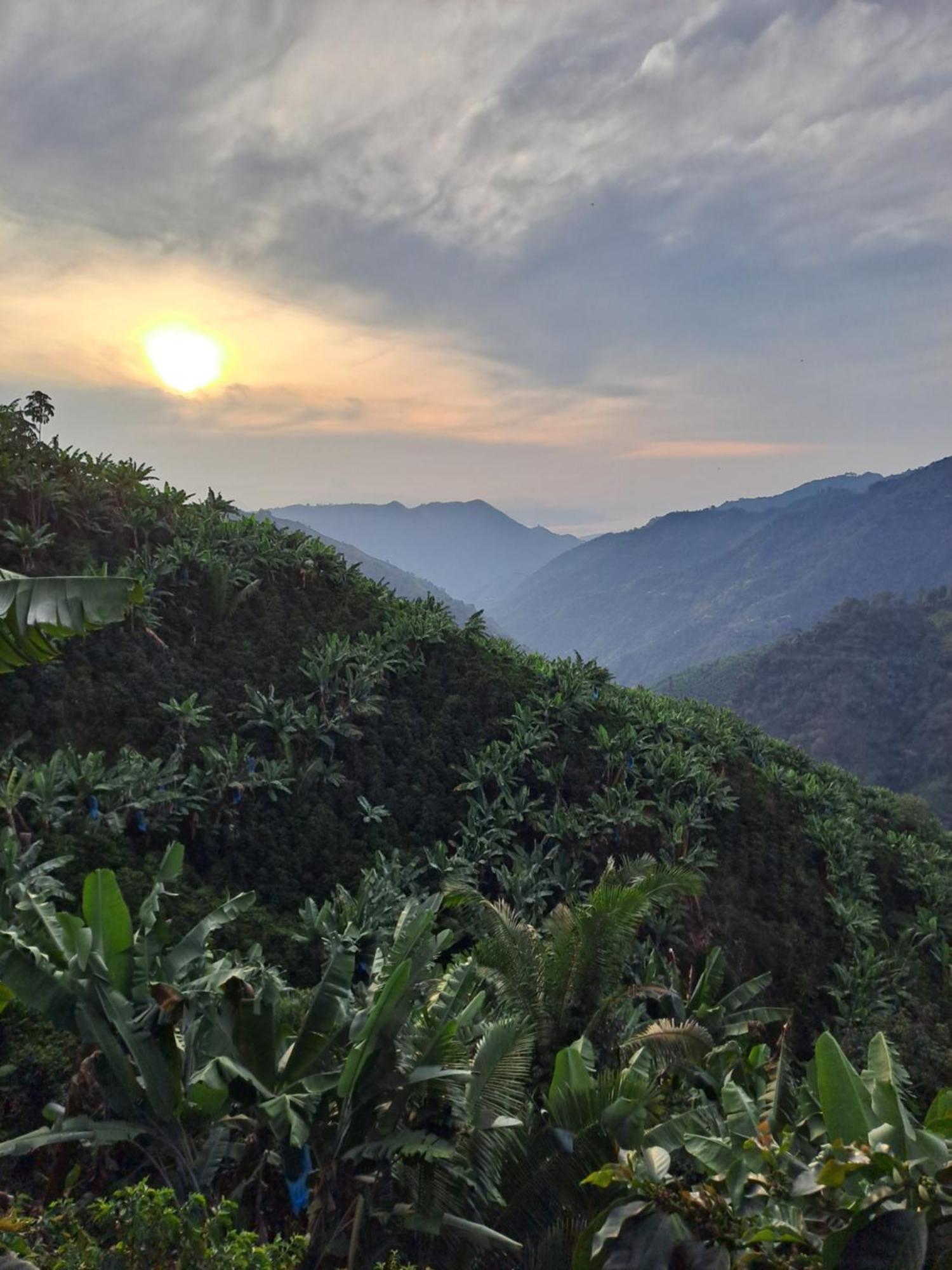 Finca La Manchuria Salgar  Kültér fotó