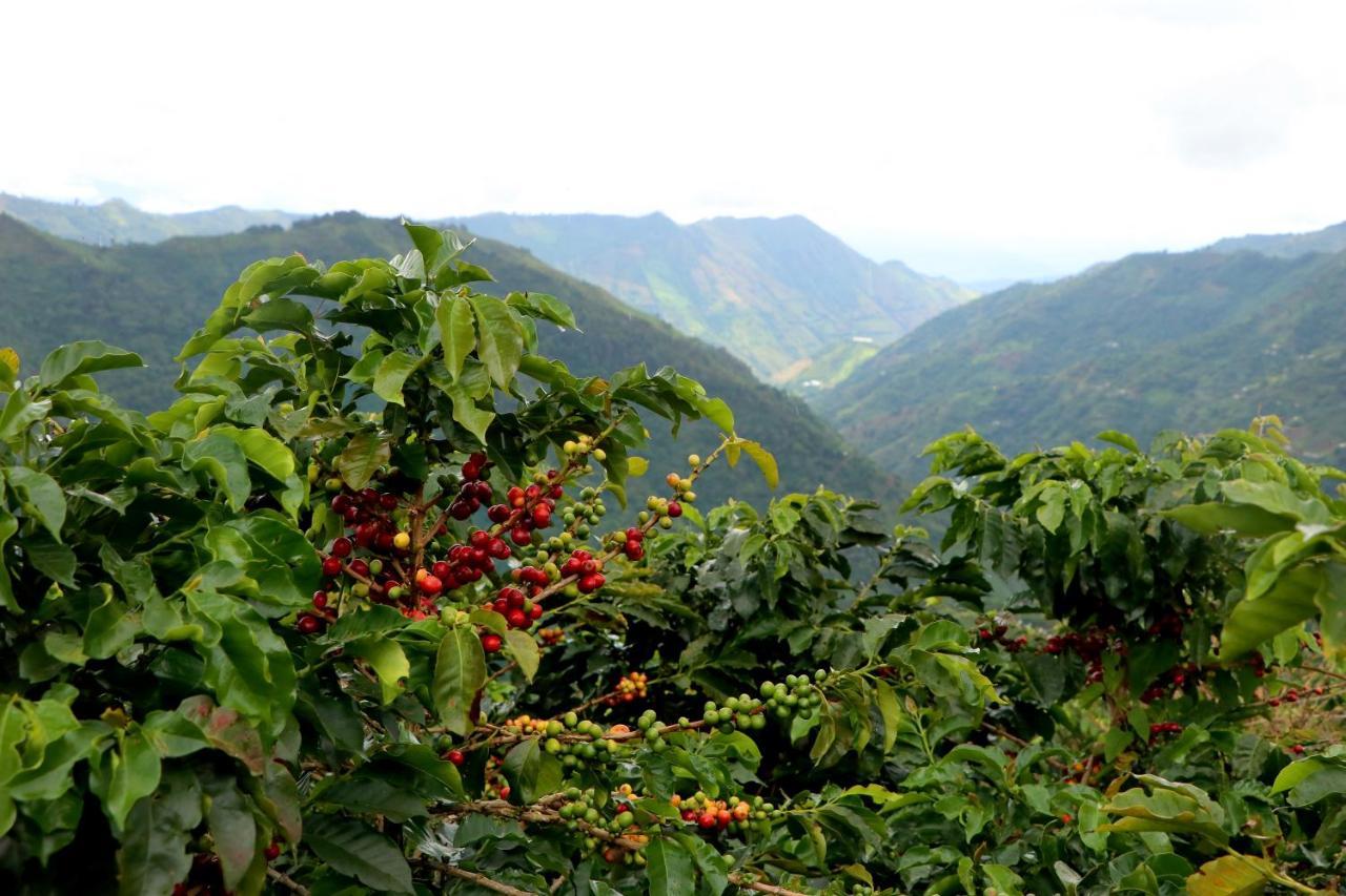 Finca La Manchuria Salgar  Kültér fotó